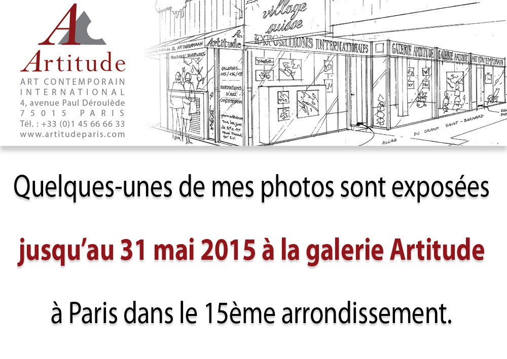 Exposition galerie artitude