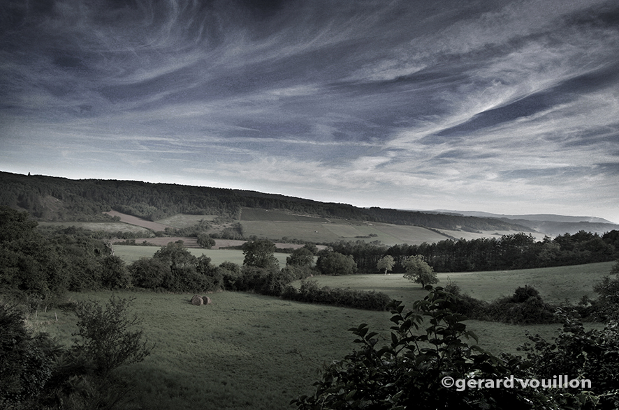 Paysage pastoral