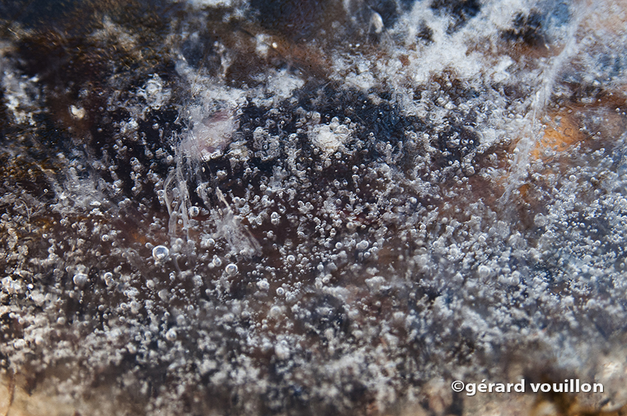 Prisonnieres des glaces