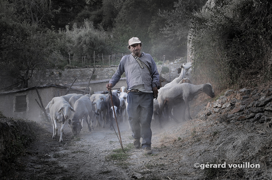 Transhumance